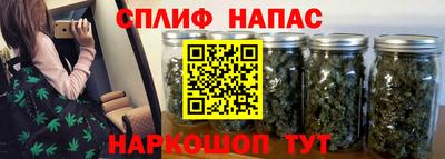 a pvp Кандалакша