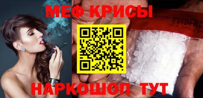 стафф Камышлов