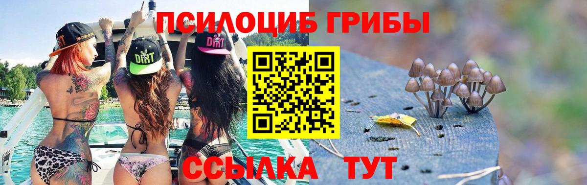 Псилоцибиновые грибы Magic Shrooms  Вход с VPN  Кушва  Галлюциногенные грибы мицелий 